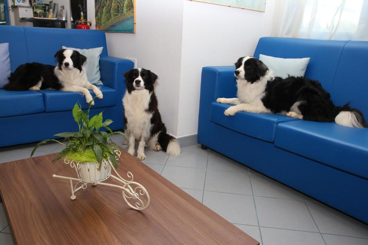 Hotel Marina Roseto Degli Abruzzi Εξωτερικό φωτογραφία