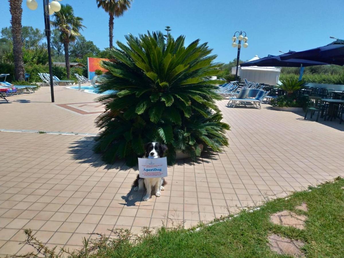 Hotel Marina Roseto Degli Abruzzi Εξωτερικό φωτογραφία