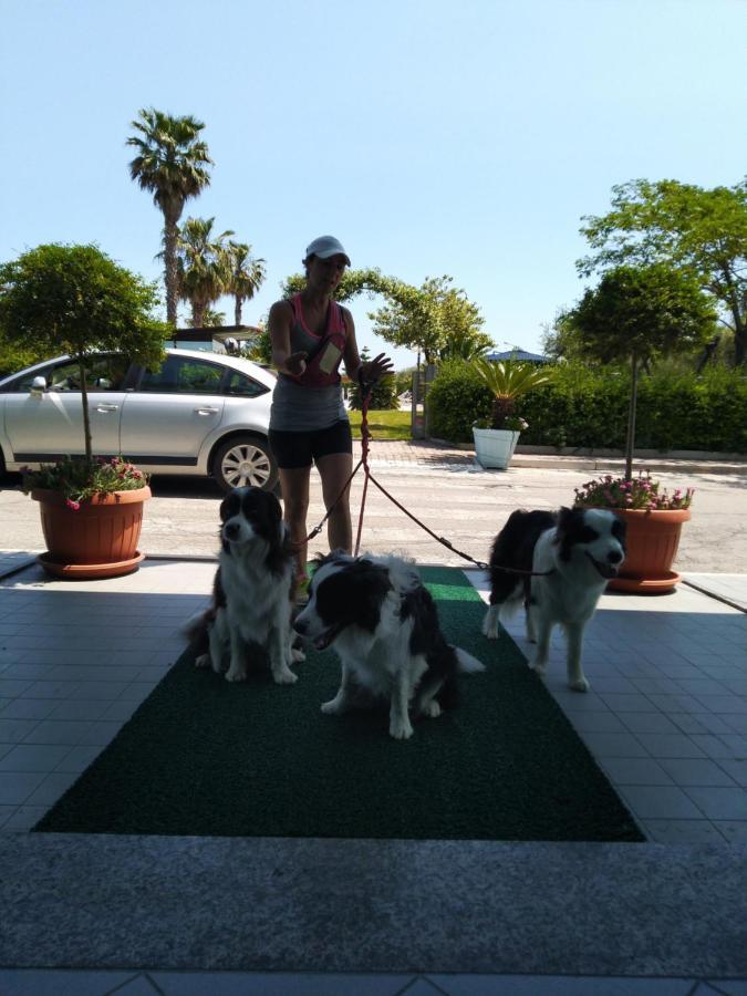 Hotel Marina Roseto Degli Abruzzi Εξωτερικό φωτογραφία